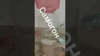 Русский самогон. Вячеслав Антонов.
