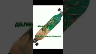 I love samakat and Andrey Petrov