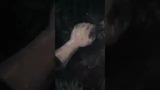 #аниме