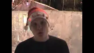 Новый год (2007)