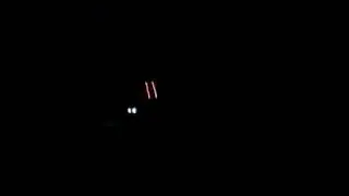 Polaris rzr whips