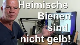 Heimische Bienen sind nicht gelb - Kurzvideo Heimische Dunkle Biene