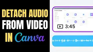 How to detach video and audio in Canva | Extract Audio Tracks Easily