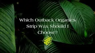 Which Outback Organics Strip Wax should I choose? #waxing #waxingtips #hairremoval #waxingtreatment