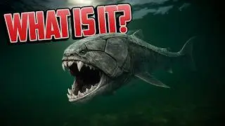 Dunkleosteus – The ARMORED Sea Monster You’ve Never Heard Of