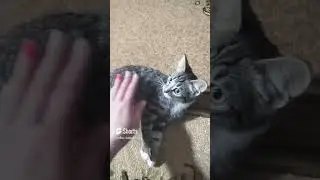 😅😁 я хороший😄