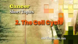 Short topics - The cell cycle