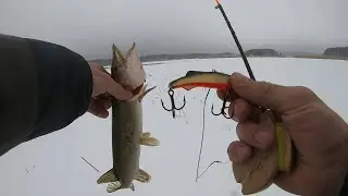 ЛОВЛЯ ЩУКИ ЗИМОЙ НА РАТЛИНЫ И ВИБЫ!!!!