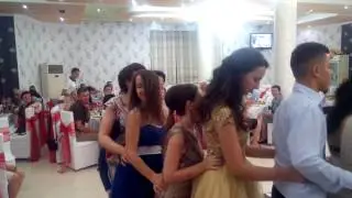 Vallja e Pinguinit - Penguin dance