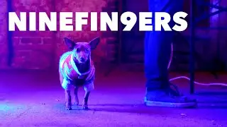 Dog loves this Techno Live Set - Ninefin9ers @ The KANVAS Sessions