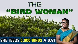 How to attract birds to your balcony | The Bird Woman | 