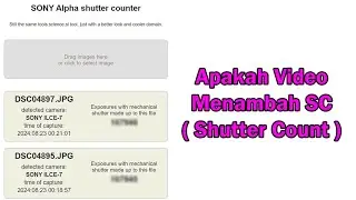 Apakah Rekam Video Menggunakan Kamera Menambah Shutter Count ??