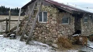 САМА СТРОЮ САРАЙ ДЛЯ КОЗЫ!!