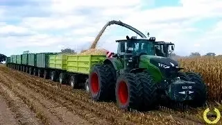 Road Train Fendt 1050 Vario 10 X HW80 Weight 118 tons Gut Grambow  Corn harvest 2021