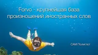 Классный инструмент, который поможет в изучении иностранного языка