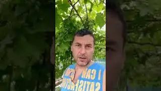 Купили дом на юге.