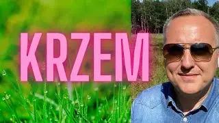 KRZEM - PIERWIASTEK ŻYCIA !!!!