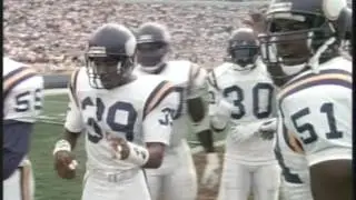 Minnesota Vikings • History Of (Third Quarter)