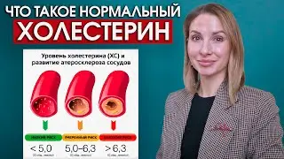 Что такое нормальный холестерин. Как понизить холестерин в крови.