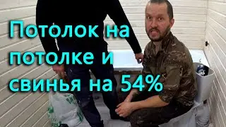 На потолке появился потолок, а блудливая свинья вернулась домой, Денис дает ей 55 процентов.