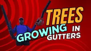 CLEANING OUT TREES GROWING IN GUTTERS