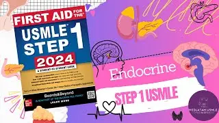 ENDOCRINE ANATOMIA