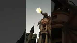 Harry Potter Fire Breathing Dragon