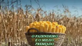 O Fazendeiro e o Milho Premiado