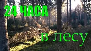24 Часа в ЛЕСУ!!! Новый формат