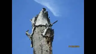Осень...