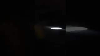 Velet şarkı söylüyo