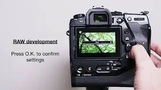 In Camera RAW development