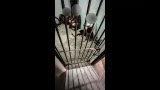 MAY NAKULONG NA ISANG MIYEMBRO NG BRUSKO!