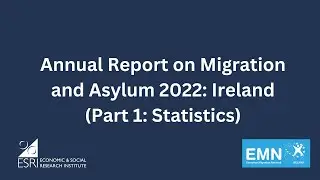 Annual Report on Migration and Asylum 2022: Ireland (Part 1: Statistics)