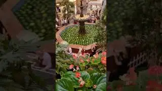 Цветочный джем в Москве, арбузы и дыни в фонтане ГУМА). Это Москва детка)