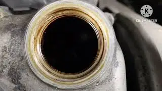 Honda 3 year old oil change (sludges)