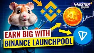 Crypto staking explained: What is staking? How does it work? ⚡️ Hamster Academy