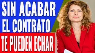 LOS ÚNICOS CASOS EN LOS QUE EL ARRENDADOR TE PUEDE ECHAR DEL PISO DE ALQUILER