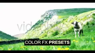 After Effects Project Files   Best Color FX Preset 100 Pack   VideoHive