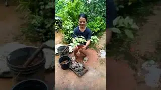 pul geparako video tarioba do.o ming mandeming hala katokaia de😂😂😂