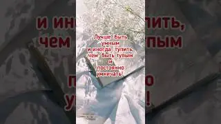 2 февраля 2024 г.