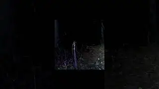 ARE YOU AFRAID OF SPIDERS? Life Hack For GHOST HUNTING around GIANT SPIDERS