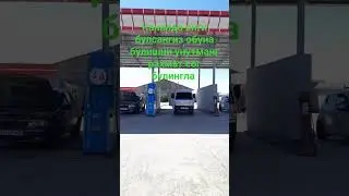 29 августа 2024 г.
