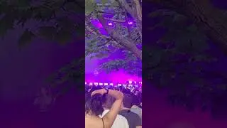 Romy - She's On My Mind at Osheaga 24