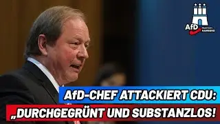 AfD-Chef attackiert CDU – „Durchgegrünt und substanzlos“!