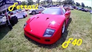 1.3 Million dollar ferrari F40 for sale 