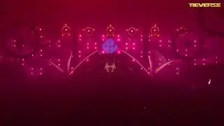 15 years Reverze Flashback