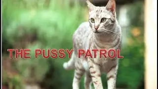 The Pussy Patrol! A hairy and a black pussy! - Ep 2