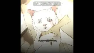 —::Ух,второе грустное видео за день. Извините #warriorcats