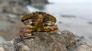 Тишь да гладь на море